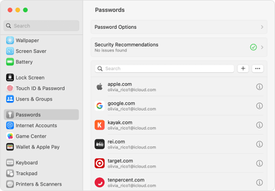 apple-system-setting-passkeys