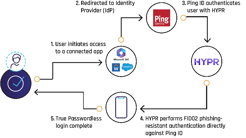 HYPR-Ping-flow